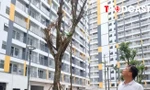 Đề xuất không thu quá 95% giá nhà ở xã hội trước khi cấp sổ đỏ