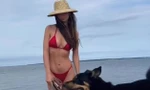 Mẫu nội y Emily Ratajkowski đẹp như mộng ở biển với bikini nhỏ xíu