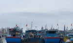 Quảng Ngãi cấm tất cả tàu thuyền ra khơi từ lúc 13 giờ chiều nay
