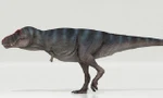 Khủng long bạo chúa T-Rex được cho là đi chậm hơn con người