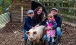 Chú lợn Milton và gia đình cô chủ Sarah.