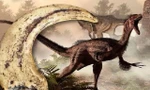 Không phải T-Rex với "cú đớp tử thần", khủng long Velociraptor mới là kẻ săn mồi vô địch thời tiền sử.