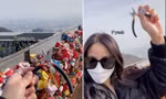 Hội ôm hận người yêu cũ “bão like” cho cô gái vượt gần 10.000 km cắt khóa tình yêu 