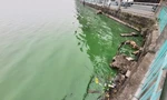 Nước Hồ Tây chuyển màu xanh rêu thời gian qua.