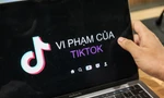 Phát hiện nhiều vi phạm của TikTok tại Việt Nam
