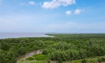 Thái Bình giữ lại 12.500ha Khu bảo tồn Tiền Hải
