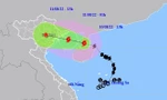 Bão đổ bộ sáng sớm mai, hướng về Quảng Ninh – Ninh Bình
