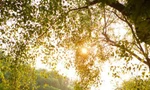 Các tỉnh miền Bắc hửng nắng trước khi đón một đợt mưa dông kéo dài. Ảnh minh họa.