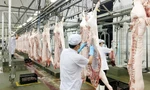 Giá lợn hơi giảm kỷ lục, Phó Thủ tướng yêu cầu làm rõ chi phí từng khâu