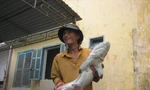 Lại câu được cá mập tại Quy Nhơn