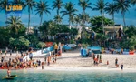 Lý Sơn Cross Island, độc đáo giải bơi vượt biển đầu tiên ở Việt Nam