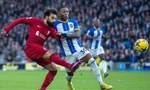 Nhận định Brighton vs Liverpool, 20h00 ngày 8/10: Thắng để xả giận
