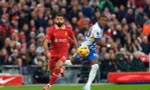Nhận định Brighton vs Liverpool, 2h00 ngày 20/5: Nhà vua phát quà