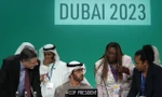Cuộc đàm phán về khí hậu của Liên Hợp quốc COP 28 đang diễn ra tại Dubai. (Ảnh: AP)