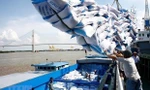 Theo các chuyên gia, việc Ấn Độ dừng xuất khẩu gạo là thời cơ để gạo Việt tăng tốc, chiếm lĩnh thị trường