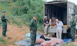 Cuộc chiến không giới tuyến tập trung khai thác hình ảnh chiến sĩ bộ đội Cụ Hồ thời kỳ mới 