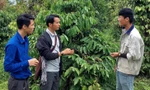 Anh Dũng (thứ 2 phải qua) chia sẻ về mô hình cà phê vườn rừng