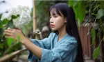 Lý Tử Thất thắng kiện sau nhiều năm bị bóc lột