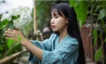 Lý Tử Thất thắng kiện sau nhiều năm bị bóc lột