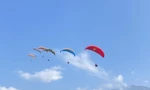 Gần 100 phi công thi bay dù lượn 