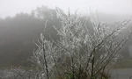 Ngắm băng giá trên đỉnh đèo Ô Quý Hồ