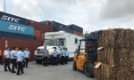 Hải quan kiểm tra container phế liệu tại Cảng Hải Phòng. ảnh: N.T