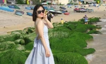 Bạn trẻ đua nhau đến check in 'thảm' rêu non độc đáo ở Quy Nhơn lúc bình minh