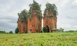 Hơn 93 tỷ đồng tu bổ cụm tháp gạch cổ ở Bình Định