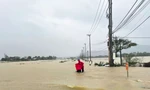 Hơn 4.000 học sinh ở Bình Định nghỉ học vì mưa lũ