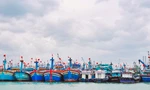 Bình Định sẽ di dời toàn bộ tàu neo đậu tại cảng cá Quy Nhơn về đầm Đề Gi