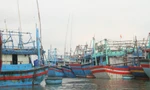 Đề nghị Bộ Công an chỉ đạo điều tra đường dây 'cò' đưa tàu cá ra nước ngoài khai thác trái phép
