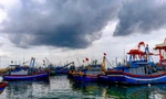 Hai ngư dân Bình Định gặp nạn khi đánh bắt trên biển