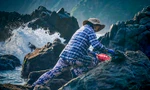 Nhọc nhằn thu hoạch 'lộc biển' trên ghềnh đá bên sóng dữ