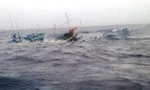 Tàu cá Bình Định chìm trên biển cùng thi thể 1 ngư dân