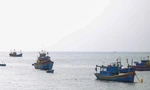 Hai ngư dân Bình Định rơi xuống biển mất tích