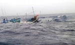 Bị chìm tàu, 14 ngư dân Bình Định được tàu hàng nước ngoài cứu vớt