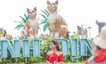 Bạn trẻ diện áo dài chụp hình với linh vật 'gia đình mèo' Tết 2023 ở Bình Định
