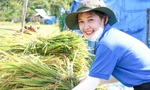 Tuổi trẻ Bình Định hoàn thành nhiều công trình, phần việc giúp người dân vùng khó 