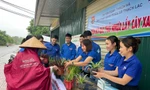 Tuổi trẻ Hà Tĩnh dọn đường bờ biển, đổi rác nhựa lấy cây xanh