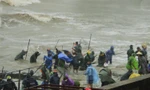 Hàng tấn sò mai theo sóng dạt vào bờ, người dân kéo nhau đi vợt kiếm bạc triệu