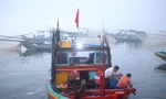 Sốt ruột dự án hậu cần nghề cá 400 tỷ có tốc độ... rùa bò