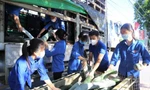 Biệt đội áo xanh chuyển hàng tấn rau củ quả gửi miền Nam yêu thương