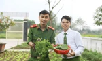 Xanh mướt vườn rau thanh niên công an xã