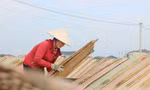 Làng bánh đa nem làm ngày lẫn đêm dịp cận Tết