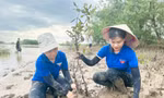 Thanh niên trồng cây hưởng ứng ngày môi trường