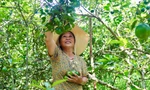 'Chìa khoá' giúp người dân xã miền núi thoát nghèo