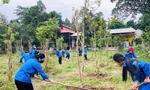 Nhiều hoạt động ý nghĩa hưởng ứng tình nguyện mùa Đông