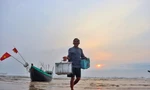 Dong thuyền câu mực xuyên đêm, ngư dân kiếm tiền triệu mỗi ngày