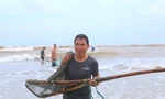 Hàng trăm người dân ra biển vợt sò lông sau mưa bão, thu nhập tiền triệu