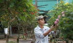 Biến hoa dại thành bonsai tiền triệu thu hút khách mua chơi Tết